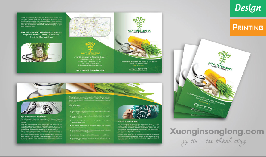 MẪU TỜ GẤP ĐẸP
